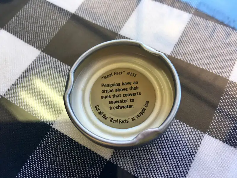 snapple-real-facts-series.webp